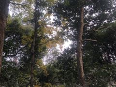 -北高峰