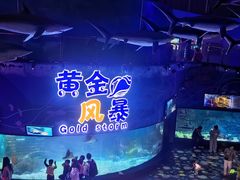 -烟台海昌鲸鲨海洋公园