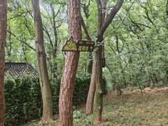 -虞山风景区