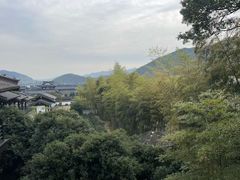 -大唐贡茶院