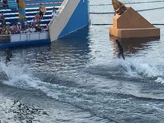 -秦皇岛乐岛海洋王国