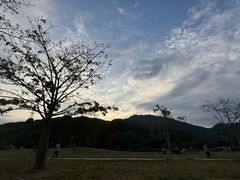 -风云岭森林公园