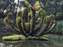 -汇龙潭