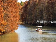 -上海海湾国家森林公园