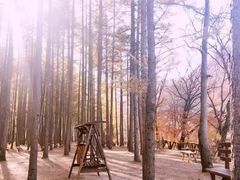 -龙道沟景区