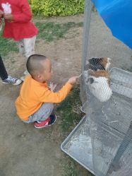 -萌宠亲子动物乐园(槐房万达店)