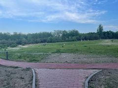 -马家湾湿地公园