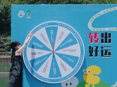 -玉苍山国家森林公园