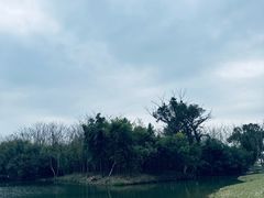 -良渚古城遗址公园