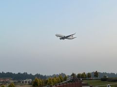 -空港花田景区