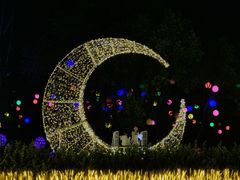 -广西壮族自治区药用植物园