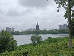 -洋湖国家湿地公园