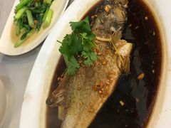 -大树下海鲜饭店