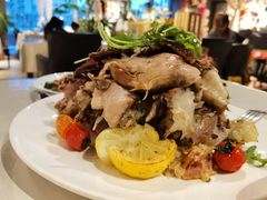 -百好乐宠物友好餐厅(朝外大街店)