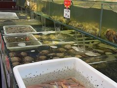 -瑞杰烧烤店·24小时营业(山东路店)