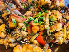 啤酒鱼-老根农家饭店