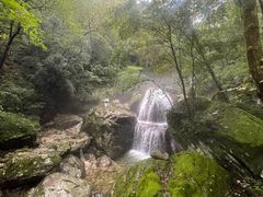 -牛背梁国家森林公园