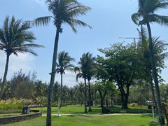 -海棠湾洲际-涛·海底餐厅·美人鱼·自助餐·海底隧道