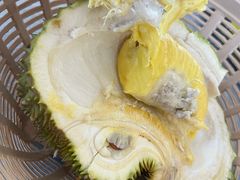 -都念榴莲·城市榴莲