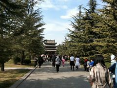 -迎泽公园