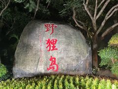 -野狸岛