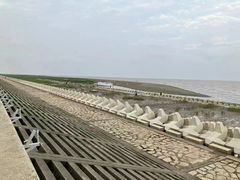 -南汇新城海滩