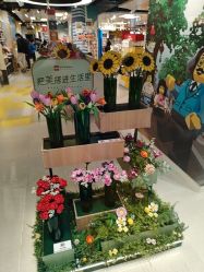 -乐高授权专卖店(西单大悦城店)