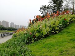 -府河摄影公园