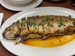 -正德顺順德雙皮奶(中信店)