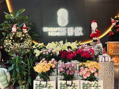 -狮拾久·现代新加坡料理(福田COCO Park店)