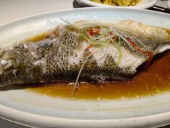 清蒸鲈鱼-黑鸡小馆(金源店)