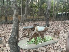 -清迈夜间动物园