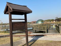 -上海都市菜园