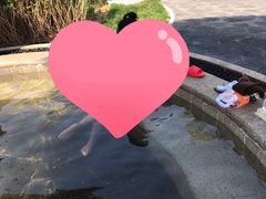 -大连金石滩绿发温泉假日酒店