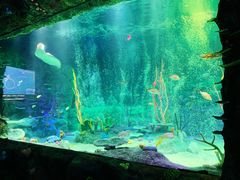 -沈阳海洋探索中心