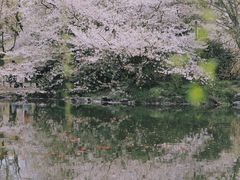 -西湖外事游船(花港观鱼码头)