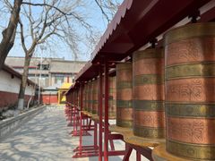 -护国法轮寺