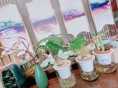 -足传奇足浴SPA(科技城店)