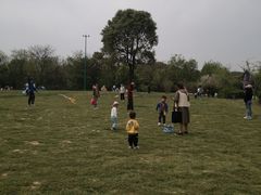 -蜀冈西峰生态公园