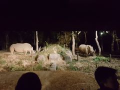 -清迈夜间动物园