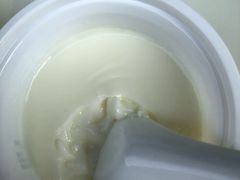 原味双皮奶-奶酪魏(牛街总店)