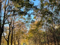 -东南大学(九龙湖校区)