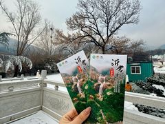 -沂蒙山旅游区云蒙景区(蒙山国家森林公园)