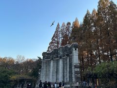 -音乐台