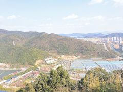 -黄贤森林公园