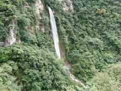 -武陵山森林公园