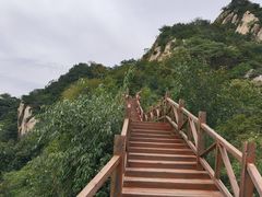 -大岭沟猕猴桃谷风景区
