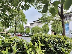 -八大山人梅湖景区