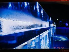 -VENU+海景酒廊