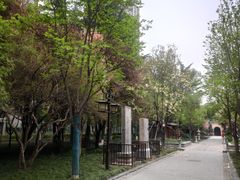 -木塔寺遗址生态公园